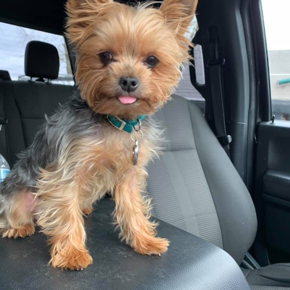 Meet your Posher, Ashley